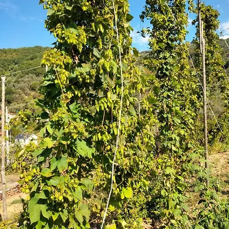 Apartamento Casa Del Luppolo Moneglia
